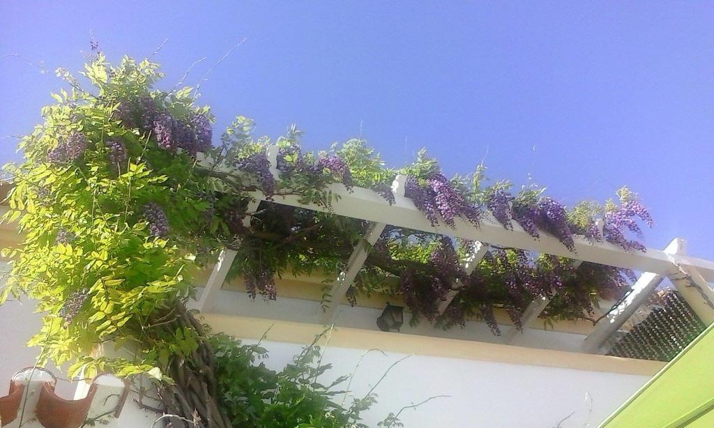 A Casa Do Lagar Apartment Azeitao Phòng bức ảnh