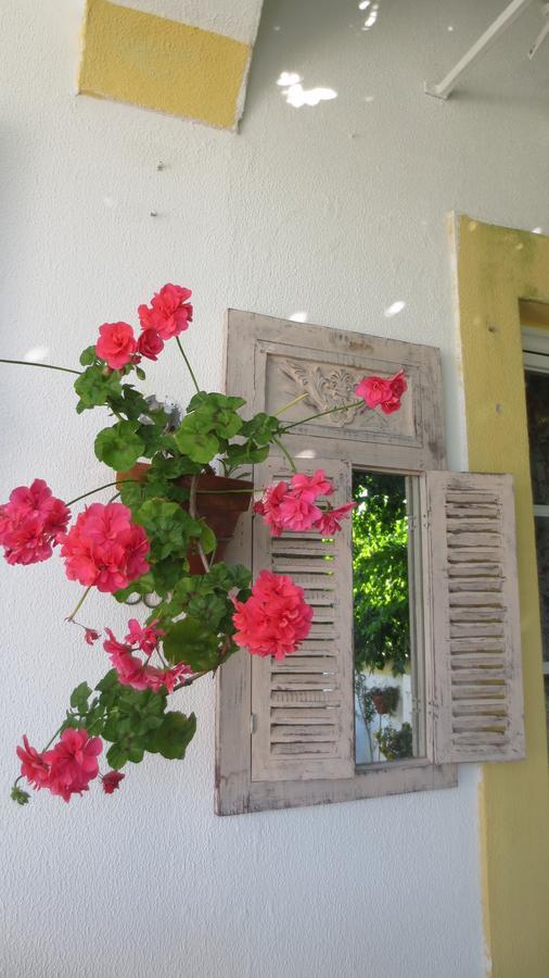 A Casa Do Lagar Apartment Azeitao Ngoại thất bức ảnh